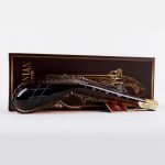 Proshyan Brandy PISTOLE 5 let 0,35l 40%